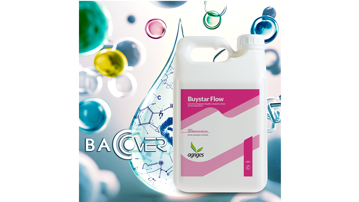 Buystar 1080 V2|Resultados Buystar Flow - V2_page-0001|Piantina-buystar-700x200 - copia